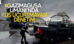 Gazimağusa Limanı’nda Yoğun Gümrük Denetimi: Araçlar Tek Tek Arandı