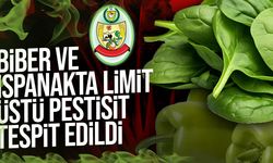 Gıda Denetimlerinde 3 Biber ve 1 Ispanakta Limit Üstü Pestisit Tespit Edildi