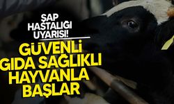 Gıda Mühendisleri Odası’ndan Şap Hastalığı Uyarısı