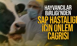 Hayvancılar Birliği’nden Şap Hastalığı Uyarısı