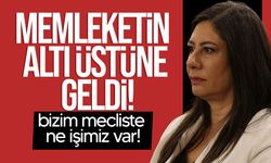 İncirli: “Bizim burada ne işimiz var? Afet riski büyüyor, tedbir almak gerekir”