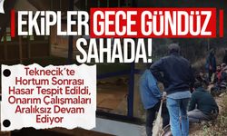 KIB-TEK: Teknecik’te Hortum Sonrası  Onarım Çalışmaları Aralıksız Devam Ediyor