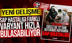 KKTC hayvancılığı alarm veriyor