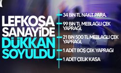 Lefkoşa Organize Sanayi Bölgesi’nde hırsızlık!