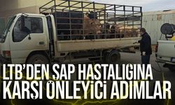 LTB, Şap Hastalığına Karşı Önleyici Tedbirleri Hayata Geçirdi