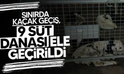 Mağusa’da Kaçak Hayvan Geçişi Engellendi