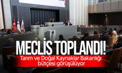 Meclis toplandı… Bütçe görüşmeleri devam ediyor