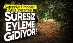Narenciye Üreticiler Birliği süresiz eylem başlatıyor
