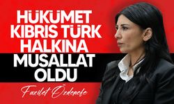 Özdenefe: "Arıklı’nın TC kaynağı olmazsa yatırım yapamayız bakış açısı var!"