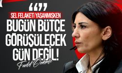 Özdenefe, sel felaketi sürerken Meclis’in normal gündemine devam etmesini eleştirdi