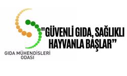 Hayvansal gıdaların güvenli kabul edilebilmesi için öncelikle hayvanların sağlıklı olması gerekir