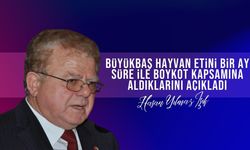 Gıda ve ürün güvenliği yasaları 2014 yılından beri kapsamlı olarak uygulamaya konulmadı