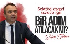 Şahiner:  “Bu bütçeyle sosyal devlet olunmaz, sosyal adalet de sağlanmaz”