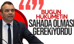 Şahiner: "Köprüler taşarken devlet ortada yoktu”