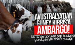 Şap Hastalığı Nedeniyle Avustralya’dan Güney Kıbrıs Ürünlerine İthalat Yasağı