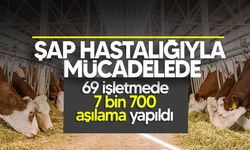 Şap hastalığıyla mücadele devam ediyor!