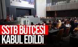 Sivil Savunma Teşkilatı Başkanlığı bütçesi oy birliğiyle kabul edildi