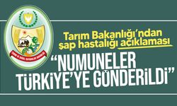 Tarım Bakanlığı’ndan şap hastalığı açıklaması