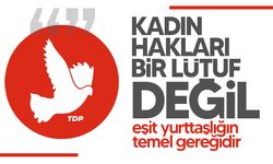 TDP, Ev İçi Şiddet Yasası’nın geçmesi için çağrı yaptı
