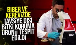 Yerli Kapya Biber ve Kerevizde Tavsiye Dışı Bitki Koruma Ürünü Tespit Edildi