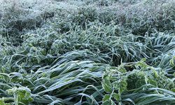 En yüksek hava sıcaklığı, iç kesimler ve sahillerde 15-18 derece dolaylarında seyredecek