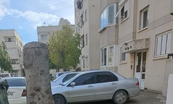 LTB’den yasa dışı ağaç kesimine ceza