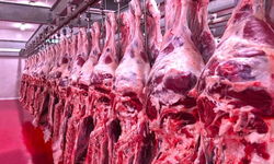 Gazimağusa’da 800 Kilo Gümrüğe Beyan Edilmemiş Et Ele Geçirildi