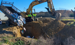 800 kilo kaçak et birçok soruyu da beraberinde getirdi!