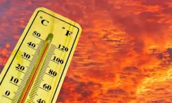 2026 İçin Uyarı: Sıcaklık Artışı ve Zirai Don Riski Kapıda