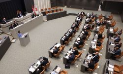 Meclis denetim göreviyle toplandı