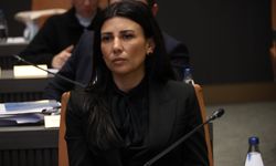 Fazilet Özdenefe’den hükümete af ve vatandaşlık tepkisi