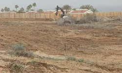 CTP Gençlik Örgütü: İskele’de 10 Dönüm Orman Tahrip Edildi