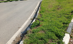 Lefke’de Devrilen Direk Aylardır Yenilenmedi