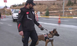 Türkiye’de 24 İlde Uyuşturucu Operasyonu: 144 Şüpheli Yakalandı