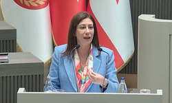 İncirli: “Hükümetin Başında Bir Değil Bin Dert Var”