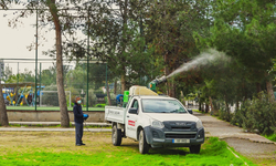 LTB: "Çam kese böceğiyle mücadele kapsamında yürütülen çalışmalar somut ve başarılı!