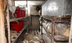 Gazimağusa Belediyesi: “Mühürlü iş yerinin faaliyetine başka bölgede kaçak devam ettiği tespit edildi”