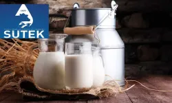 SÜTEK 205 Milyon TL Çiğ Süt Ödemesi Yaptı: 597 Üreticinin Hesabına Yatırıldı