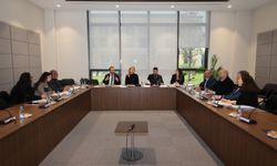 Ekonomi, Maliye, Bütçe ve Plan Komitesi KDV ve Trafik Yasalarını Görüştü