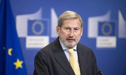 Hahn,  AB Komisyonu tarafından atanmıştı