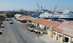 Narenciye İhracatçıları: Liman Mesaisi Yetersiz