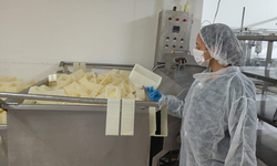 Değirmenlik-Akıncılar’da sağlık denetimi