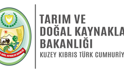 Küçükbaş destek ödemeleri perşembe üreticilere yatırılacak