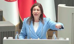 İncirli’den Berova’ya sert sözler: “Memlekette yangın var, siz saçınızı tarıyorsunuz!”