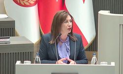 İncirli’den Meclis'te hükümete sert sözler: “Savaşı bahane etmeyin, ekonomiyi siz bitirdiniz”