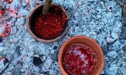 Taş Devri insanı ne yiyordu? 8 bin yıllık çömlekler gerçeği ortaya çıkardı