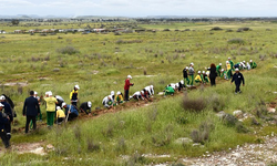 Mesarya’da Yeniden Yeşil Kıbrıs kapsamında 1000 fidan dikildi
