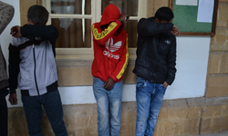 3 kaçak mahkemeye çıkarıldı!