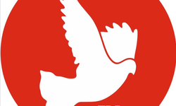 TDP’den Siber Saldırı Tepkisi: Gerçeği Silemezsiniz