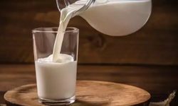 Süt bedelleri ödendi